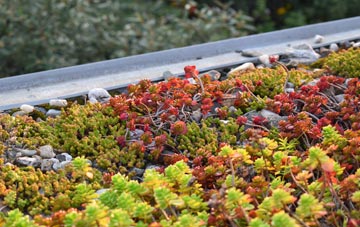 the cost of Sneaton green roof installation